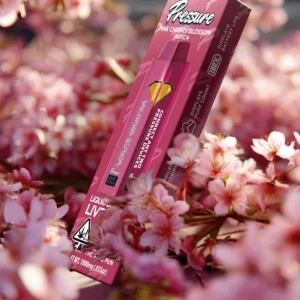 Pink Cherry Blossom-Indica